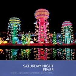 Saturday Night Fever