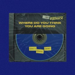 Where Do You Think You Are Going (Harris & Ford remix)