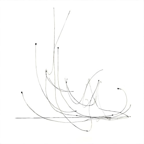 Fortune