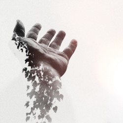Don’t Let Go