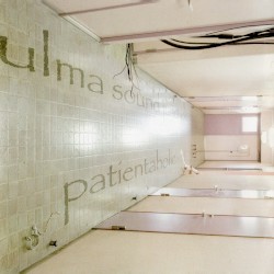 patientaholic