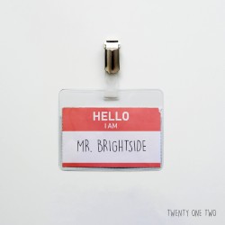 Mr. Brightside