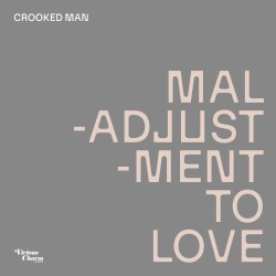Maladjustment To Remixes