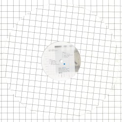 Nept Polarisation