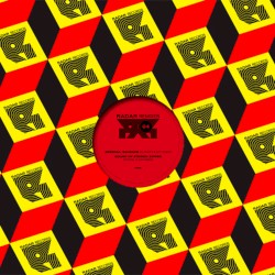 Radar Remixes 4