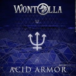 Acid Armor