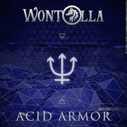 Acid Armor