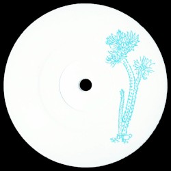 Wilcoxia poselgeri (CCTS003)