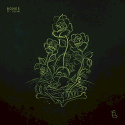 Bones
