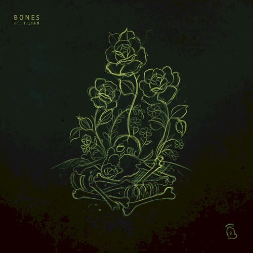 Bones