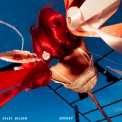 Hookey