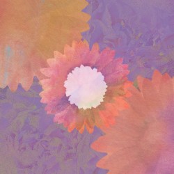 The Eternal Flowers