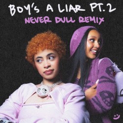 Boy's a Liar Pt.2 (Never Dull remix)