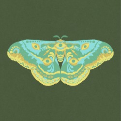 The Moth