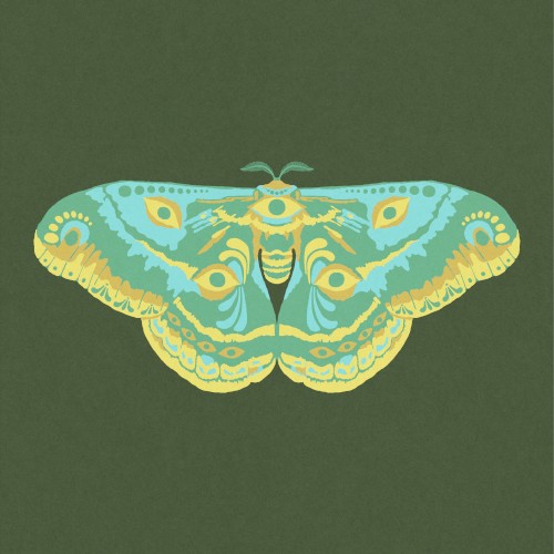 The Moth