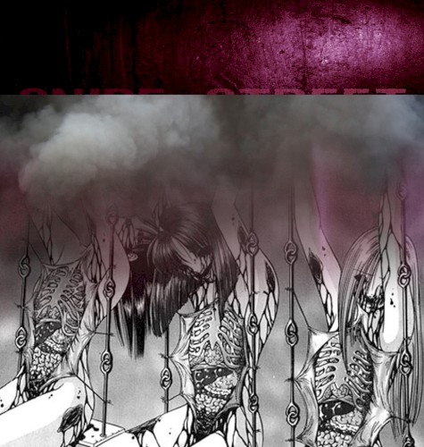 notypestreet ('snipestreet' decomposed)