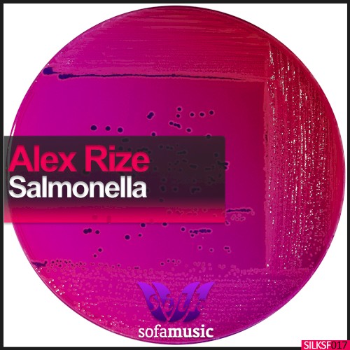 Salmonella