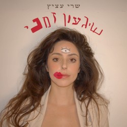 שיגעון זמני