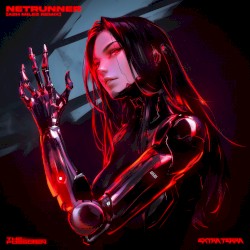 NETRUNNER (Ash Milez remix)