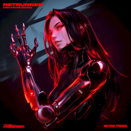 NETRUNNER (Ash Milez remix)