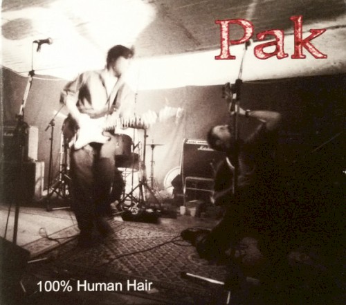 100% Human Hair
