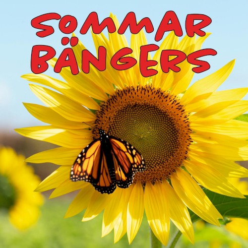 Sommar bängers
