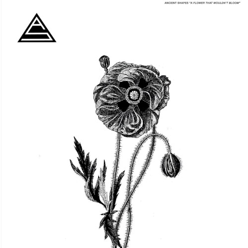 A Flower That Wouldn’t Bloom