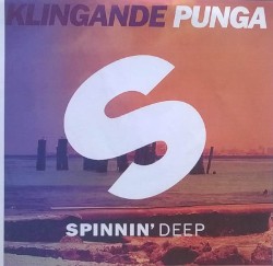 Punga