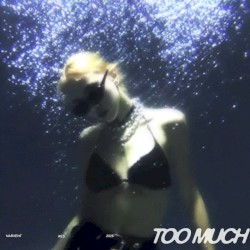 Too Much (versions)