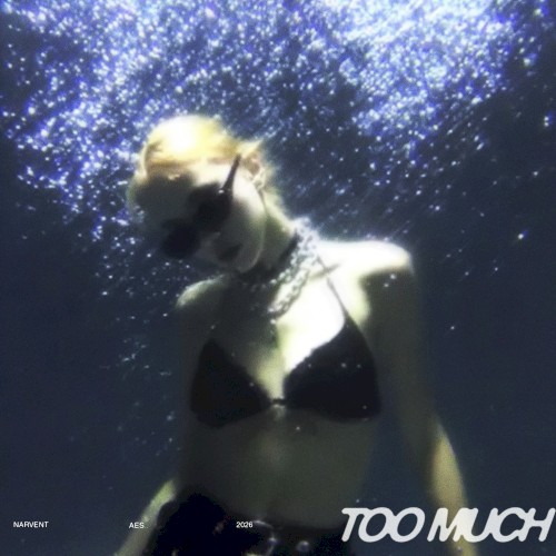 Too Much (versions)