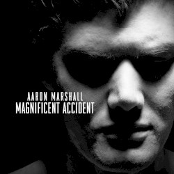 Magnificent Accident