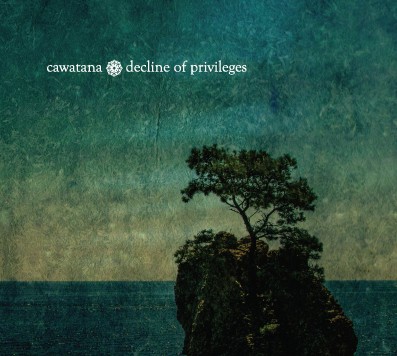 Decline Of Privileges