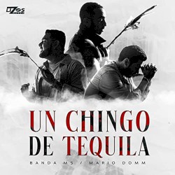 Un chingo de tequila