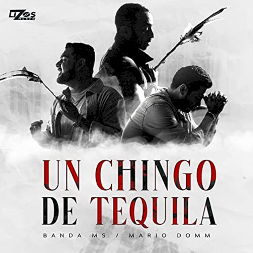 Un chingo de tequila