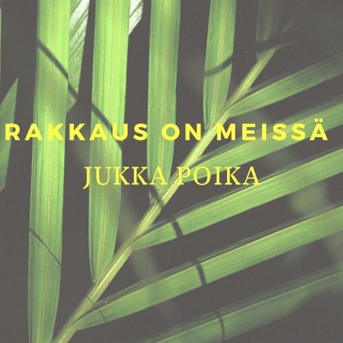 Rakkaus on meissä