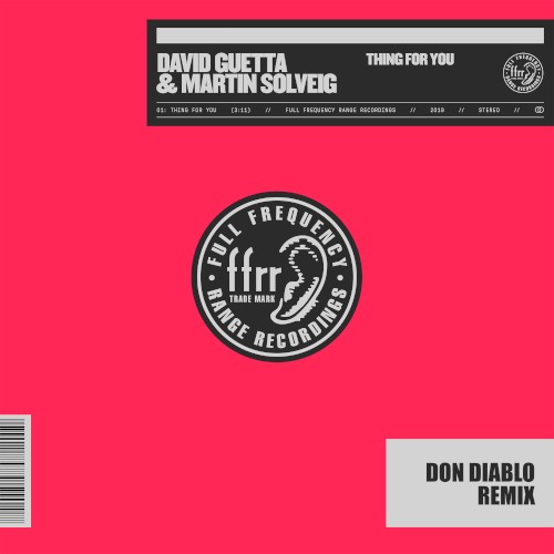 Thing for You (Don Diablo remix)