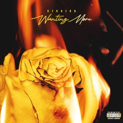 Wanting More