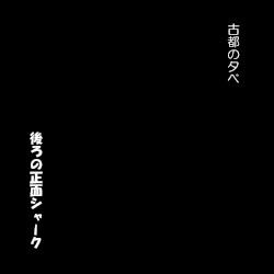 後ろの正面シャーク