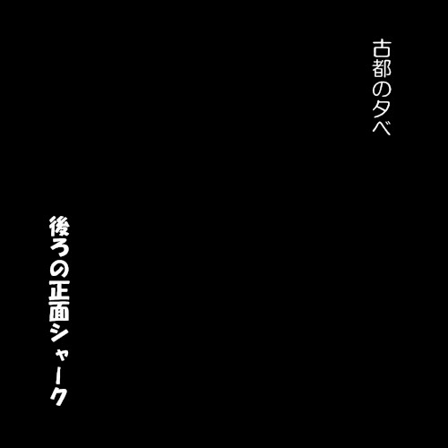 後ろの正面シャーク