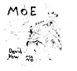 David Yow
