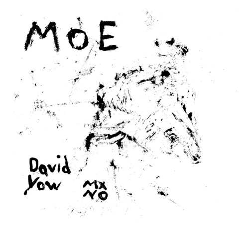David Yow