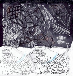 Emergence Vol. 1