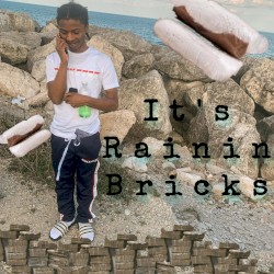 Its Rainin’ Bricks