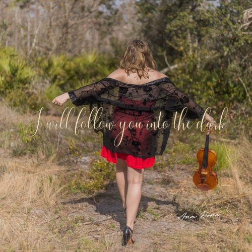 I Will Follow You Into the Dark (Violin Cover)