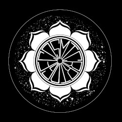 Cosmology Volume 3