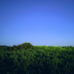 Hayama Ambient 036