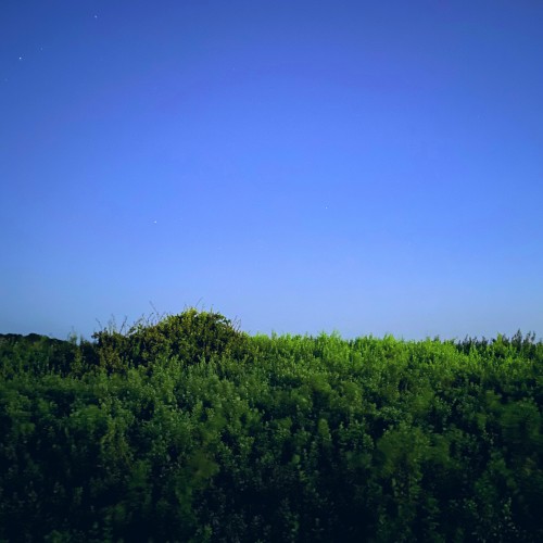 Hayama Ambient 036