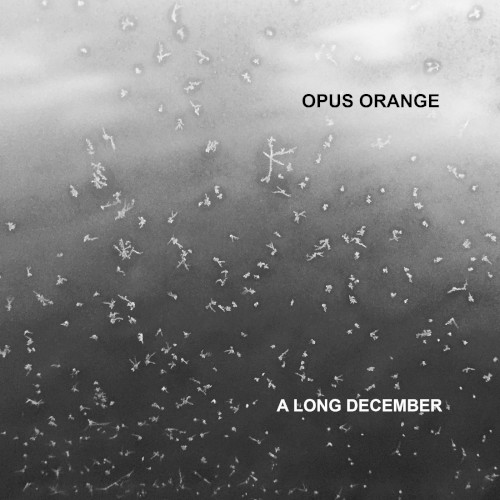 A Long December