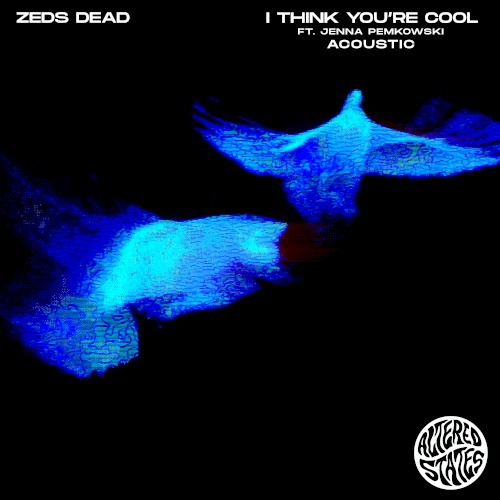 i think you’re cool (acoustic)