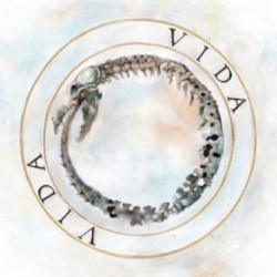 Vida